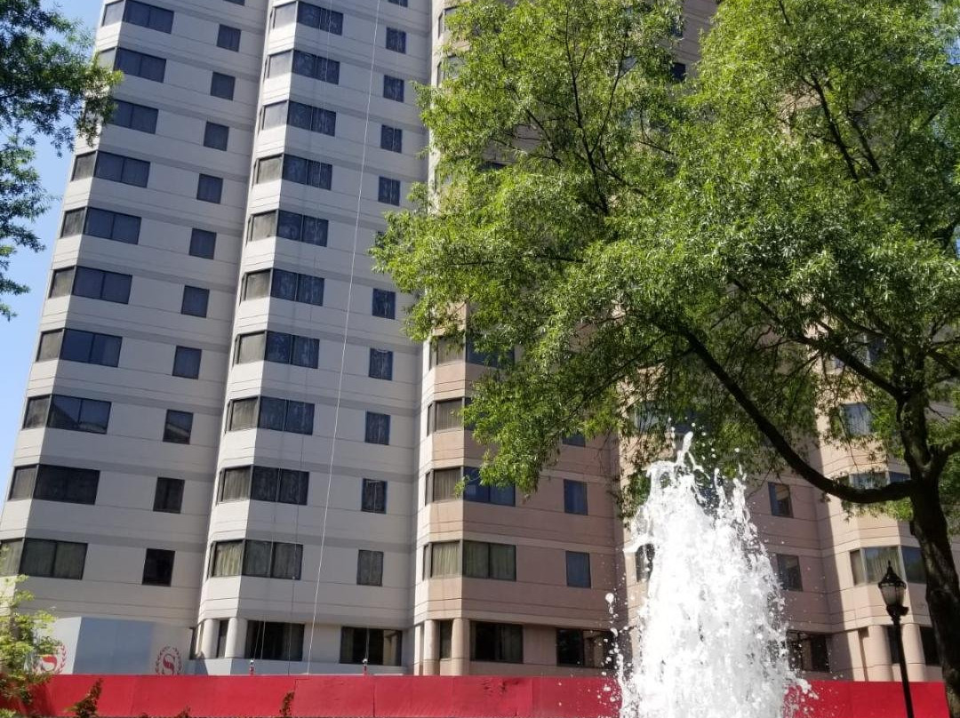 威尔明顿喜来登套房酒店主图