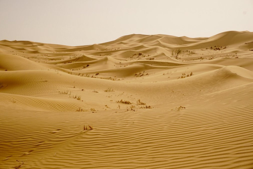 金沙湾旅游区-乌海市必去景点