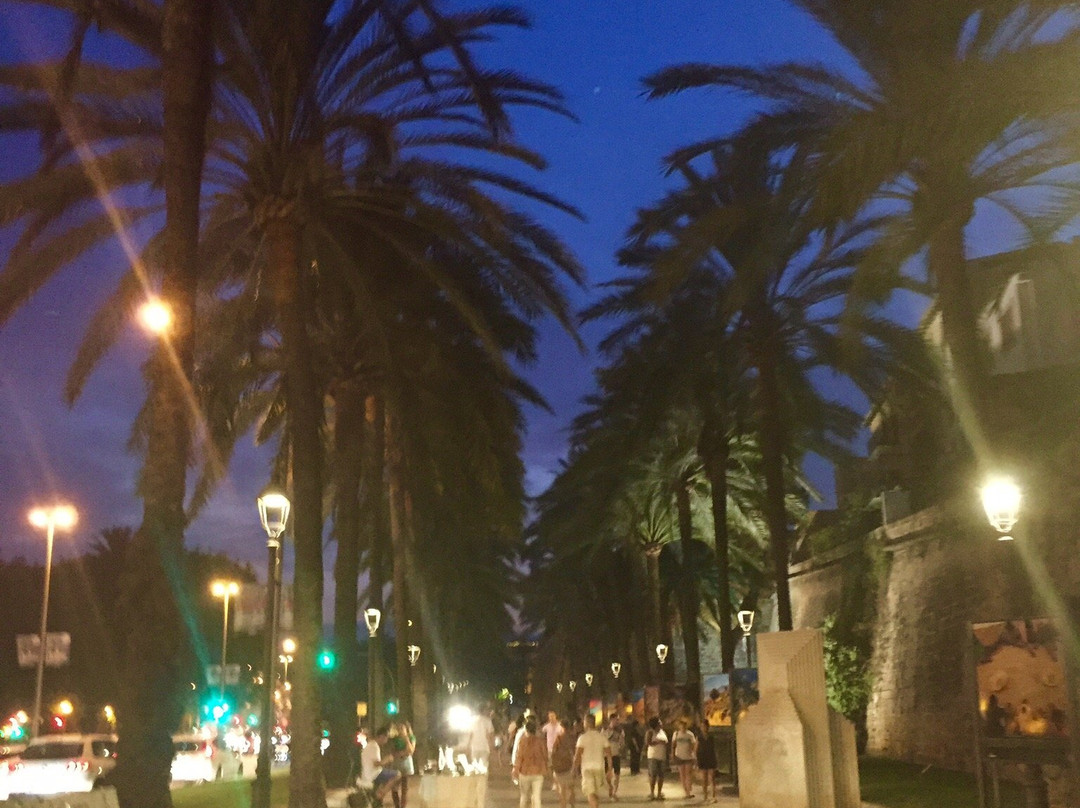 Palma de Mallorca主图