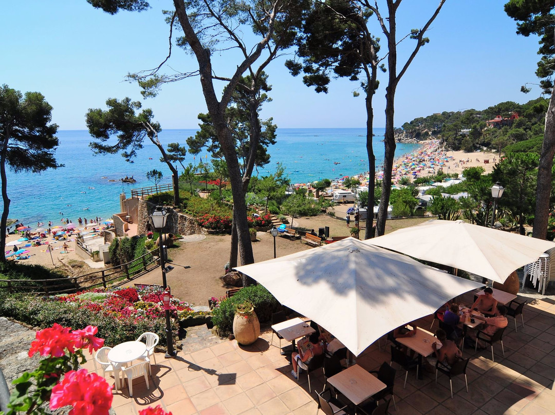 Camping Treumal