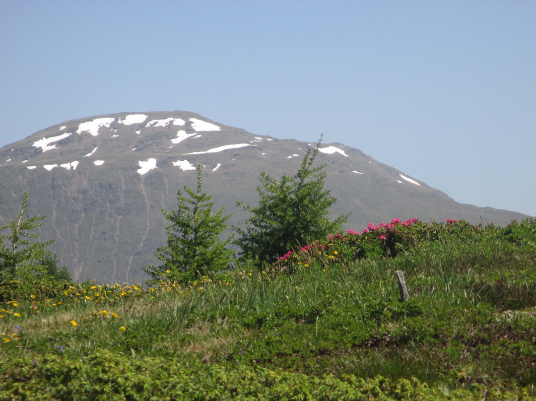 Thurntaler-Sillian必去景点