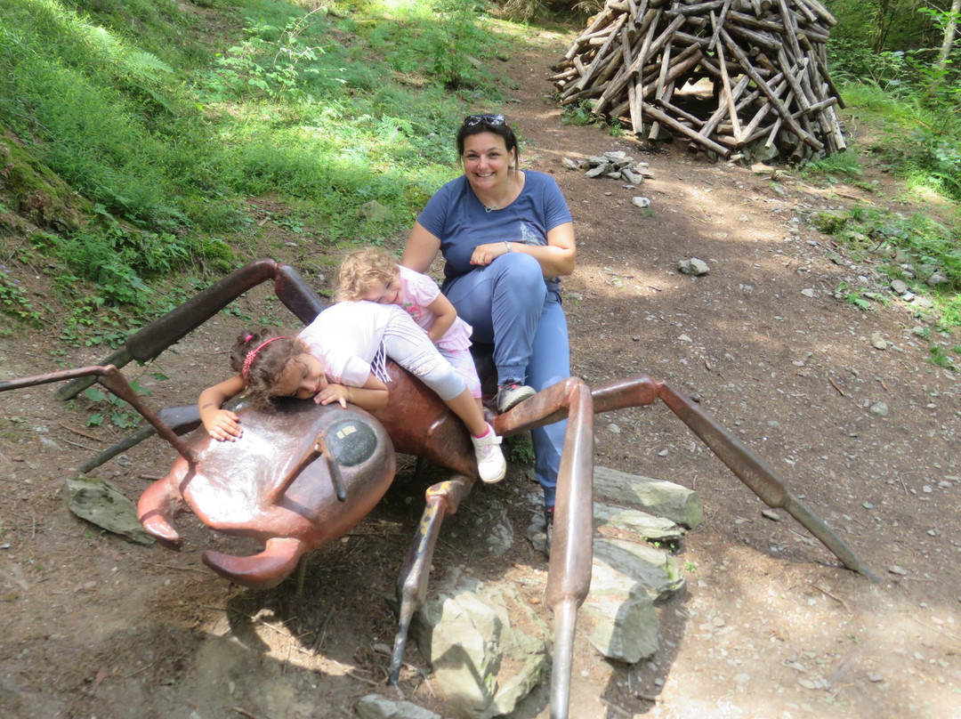 Waldtierpfad Gumperle-Agumes必去景点