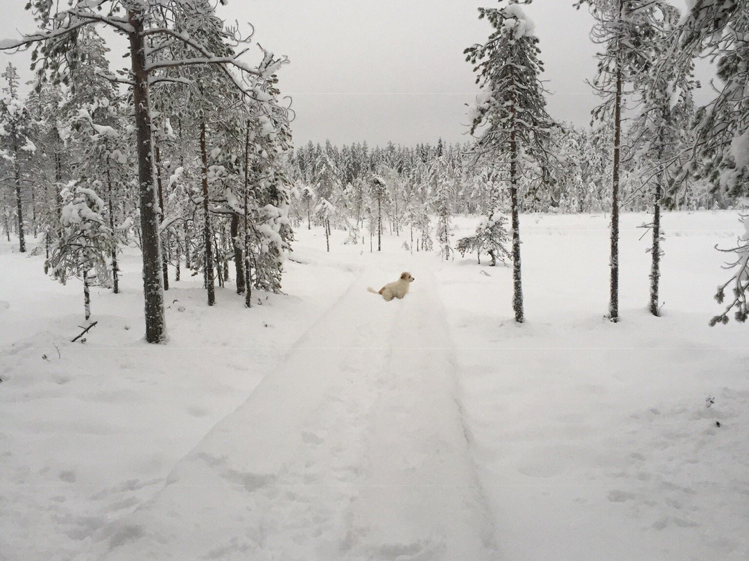 Arctic Emotions Oy-罗瓦涅米必去景点