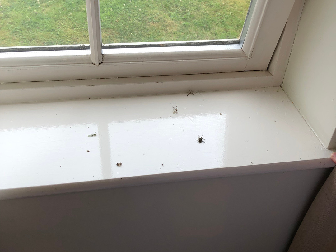 Upper Battlefield酒店住宿-Albrighton Hall and Spa, a member of Radisson Individuals