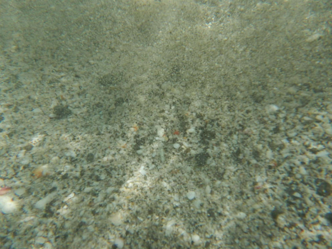 Playa Dantita景点图片
