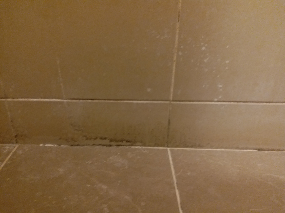 车仁珍山会议温泉度假酒店主图