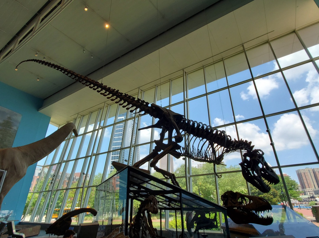 Maryland Science Center-巴尔的摩必去景点