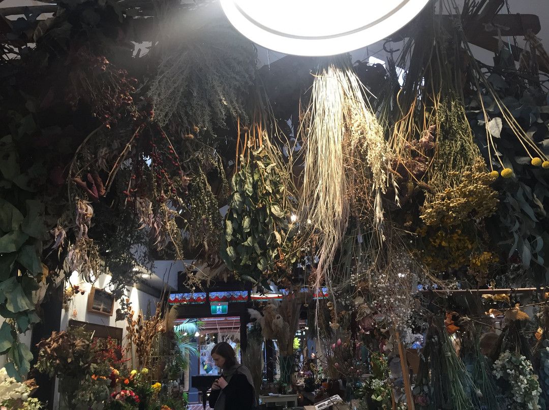 皮革店-基督城必去景点