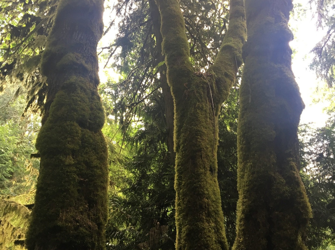 Gowlland Tod Provincial Park景点图片