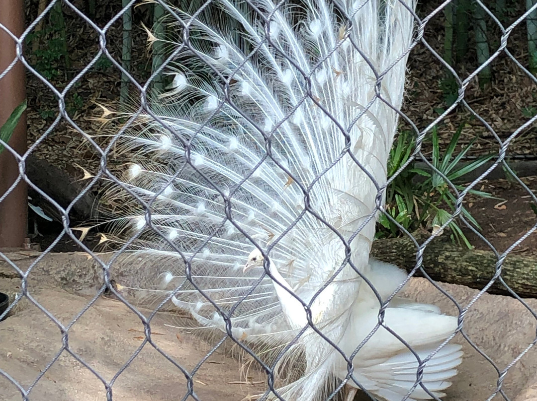 亚特兰大动物园-亚特兰大必去景点