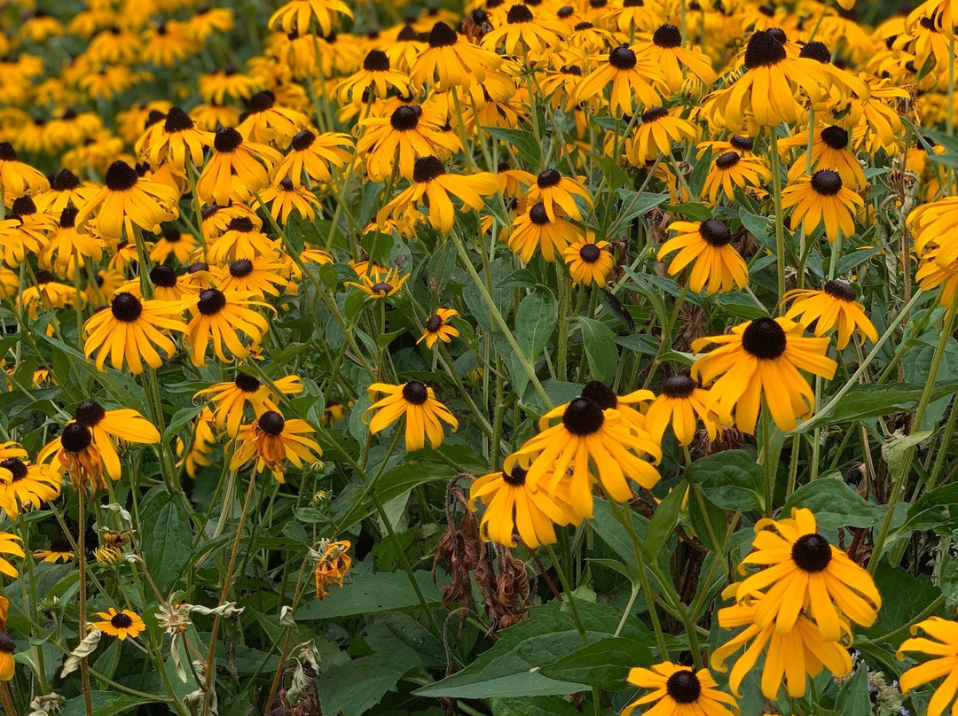 罗贝托克莱蒙州立公园-布朗克斯必去景点