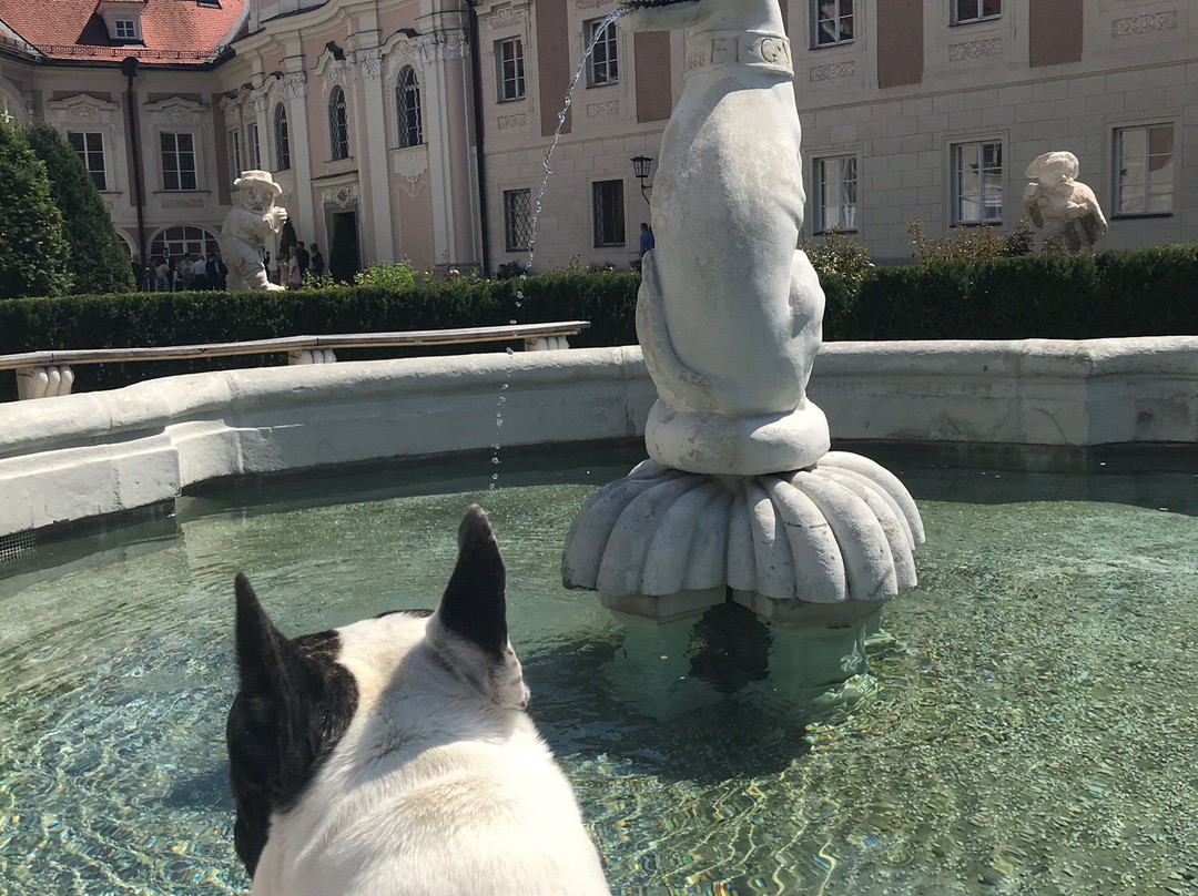 Brunnen mit Hundeplastik-施泰尔必去景点