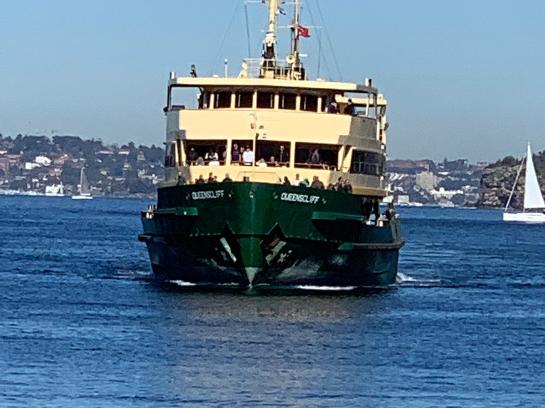 悉尼渡船景点图片
