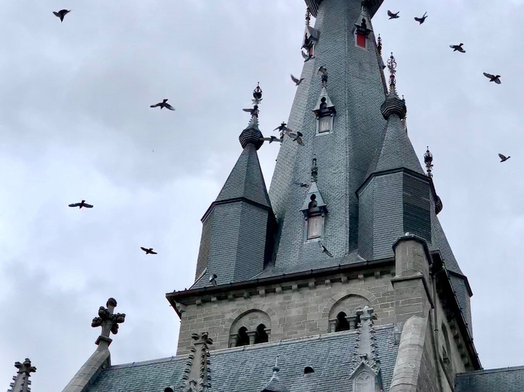 Basilique Saint-Materne景点图片