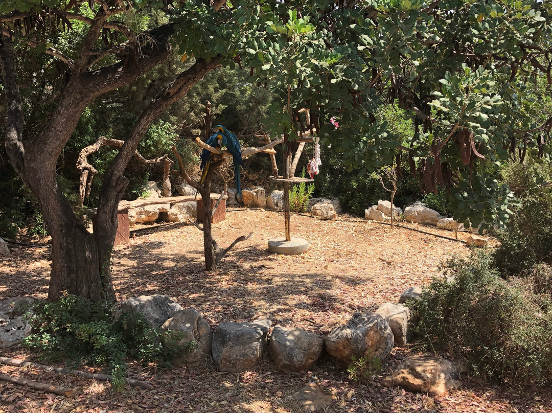 Pafos Zoo-帕福斯必去景点