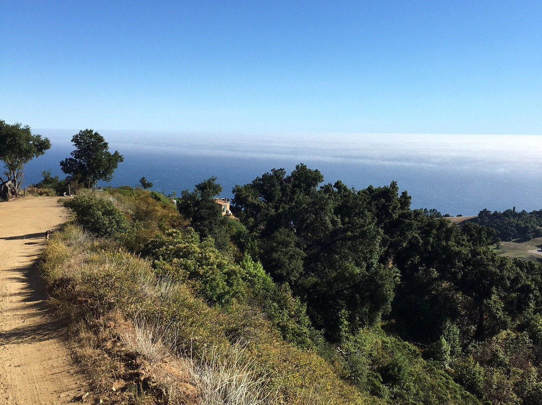 Big Sur Majestic Equine Services-大苏尔必去景点