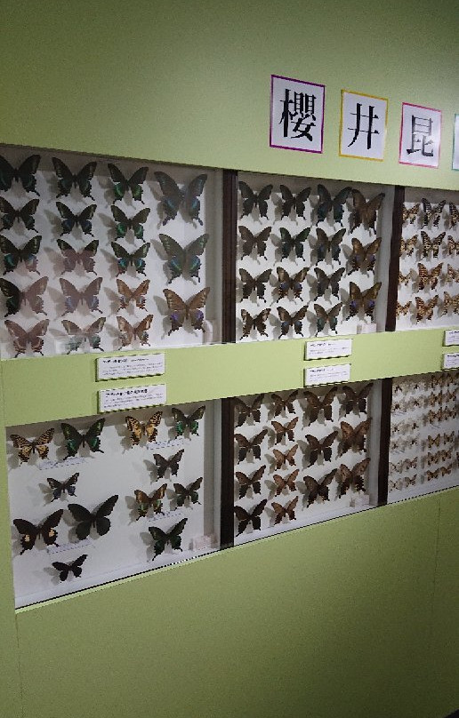 Tamarokuto Science Center-西东京市必去景点