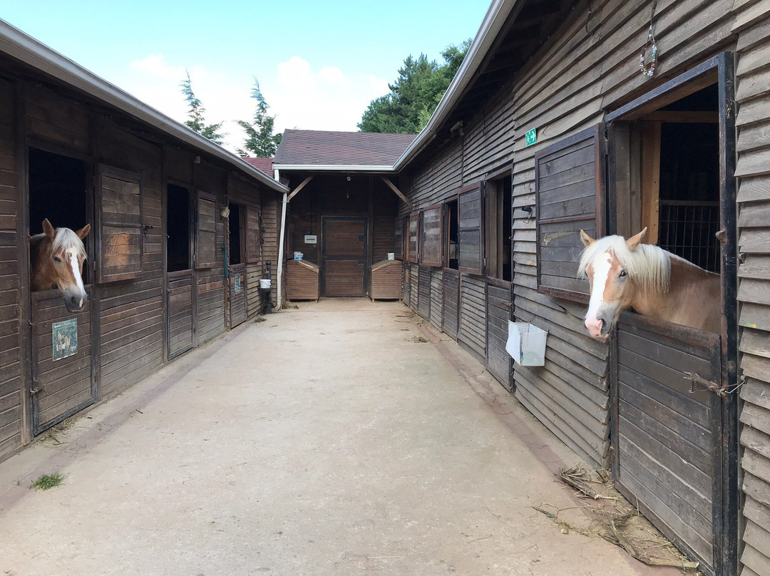 Tabiat Equestrian Center-Suekraniye必去景点