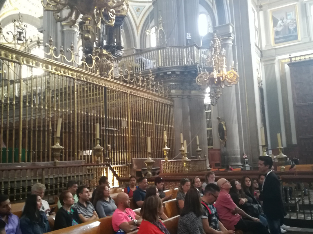 Biblioteca Palafoxiana-普埃布拉必去景点