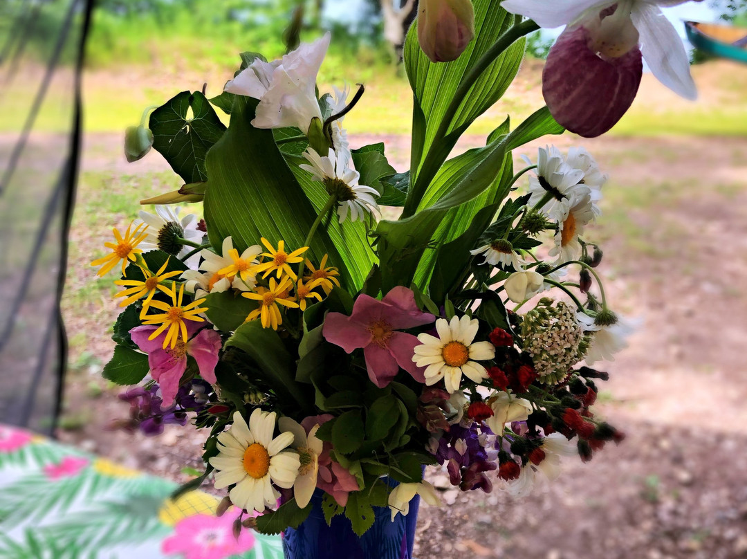 Moose Lake Provincial Park-Buffalo Point必去景点