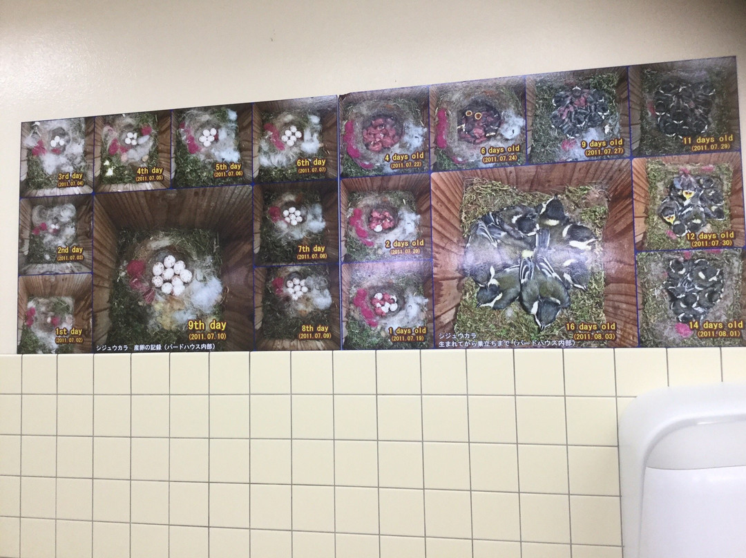 Tokachiheigen Service Area Inbound-芽室町必去景点