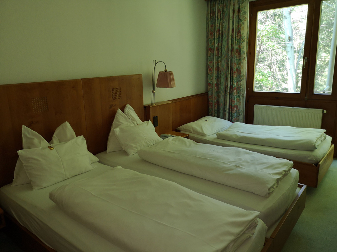 Sudrast Dreilanderecke Hotel主图