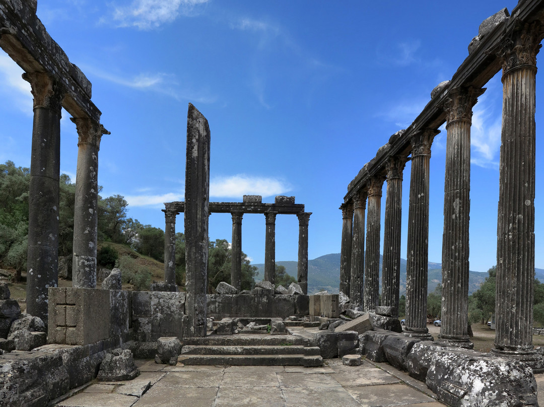 Euromos Ruins景点图片