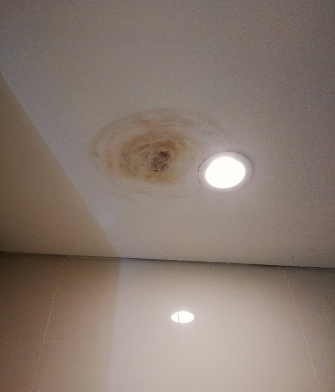 方舟塔酒店主图