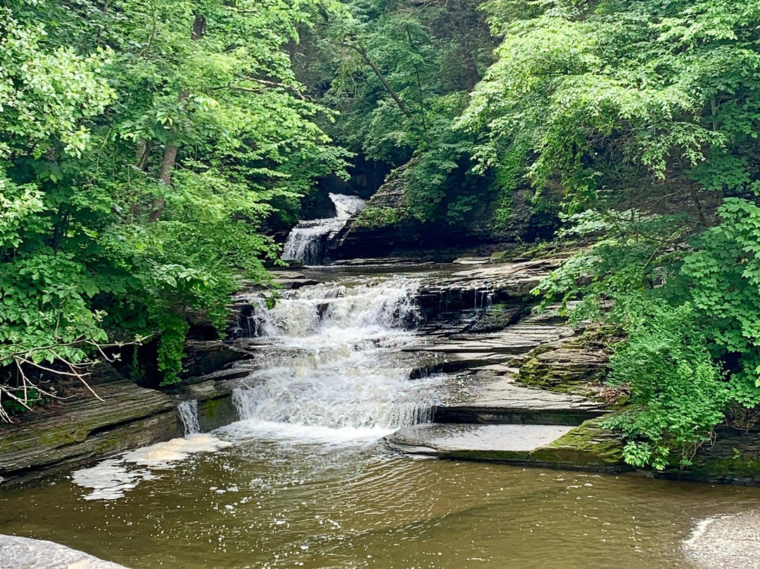 Havana Glen Park景点图片
