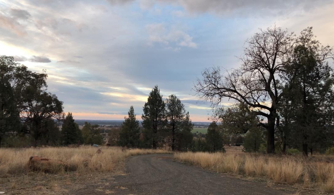 Bulwarra Bed & Breakfast主图