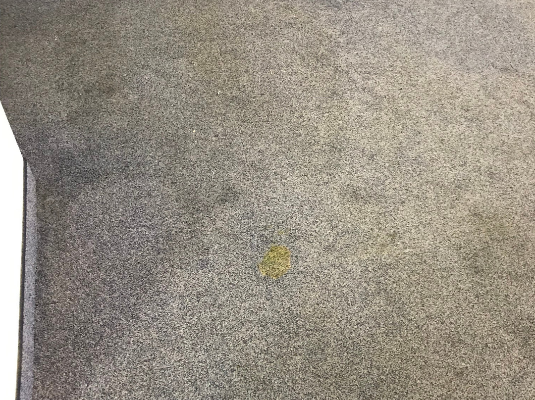 Phi Hotel Milano主图