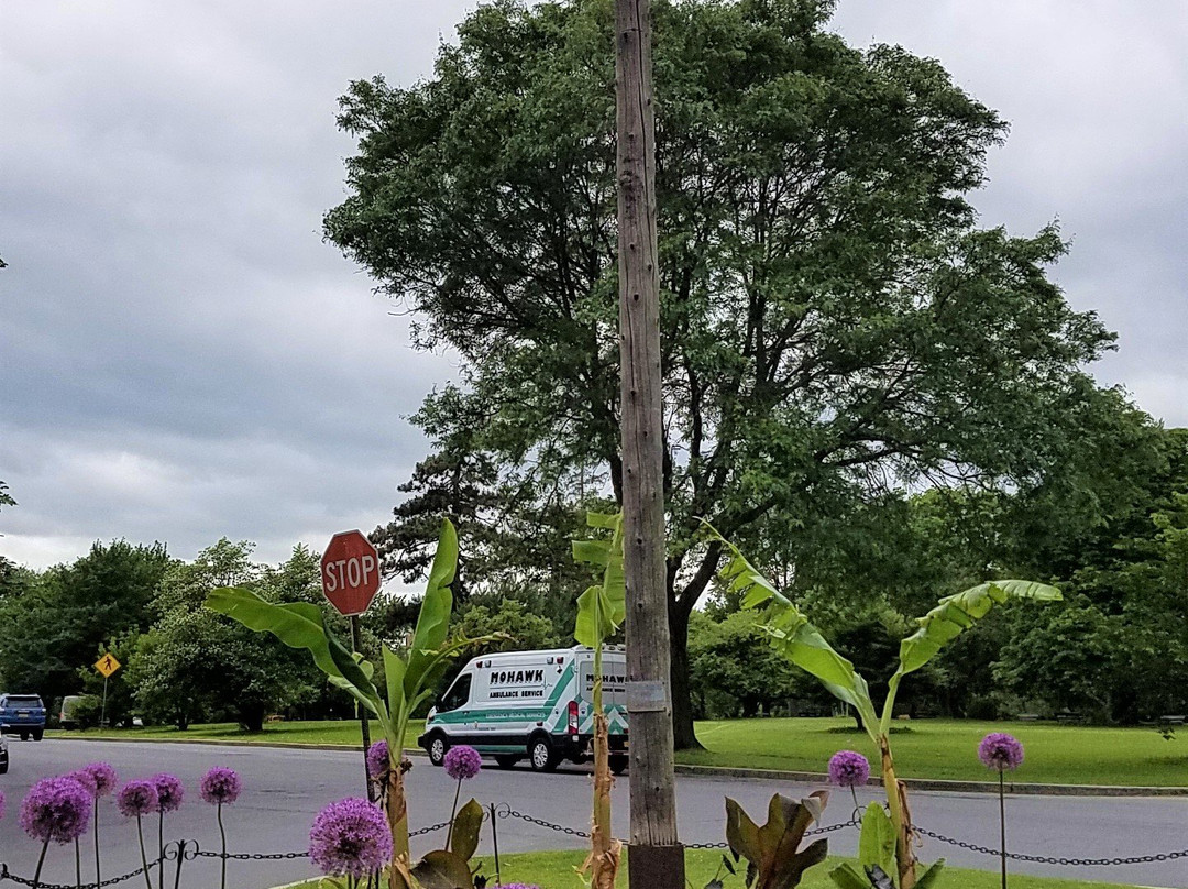 华盛顿公园-奥尔巴尼必去景点
