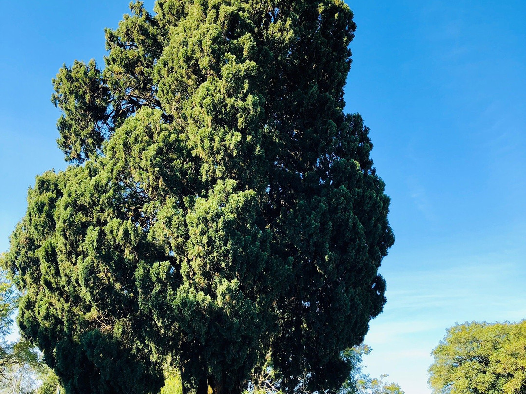 Cipestre Farroupilha-Guaiba必去景点