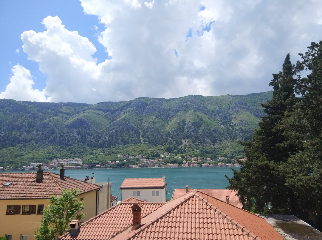 Apartments & Rooms Jelka主图