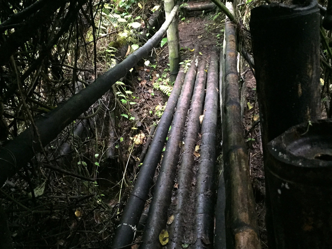 Bonita Farm-佩雷拉必去景点