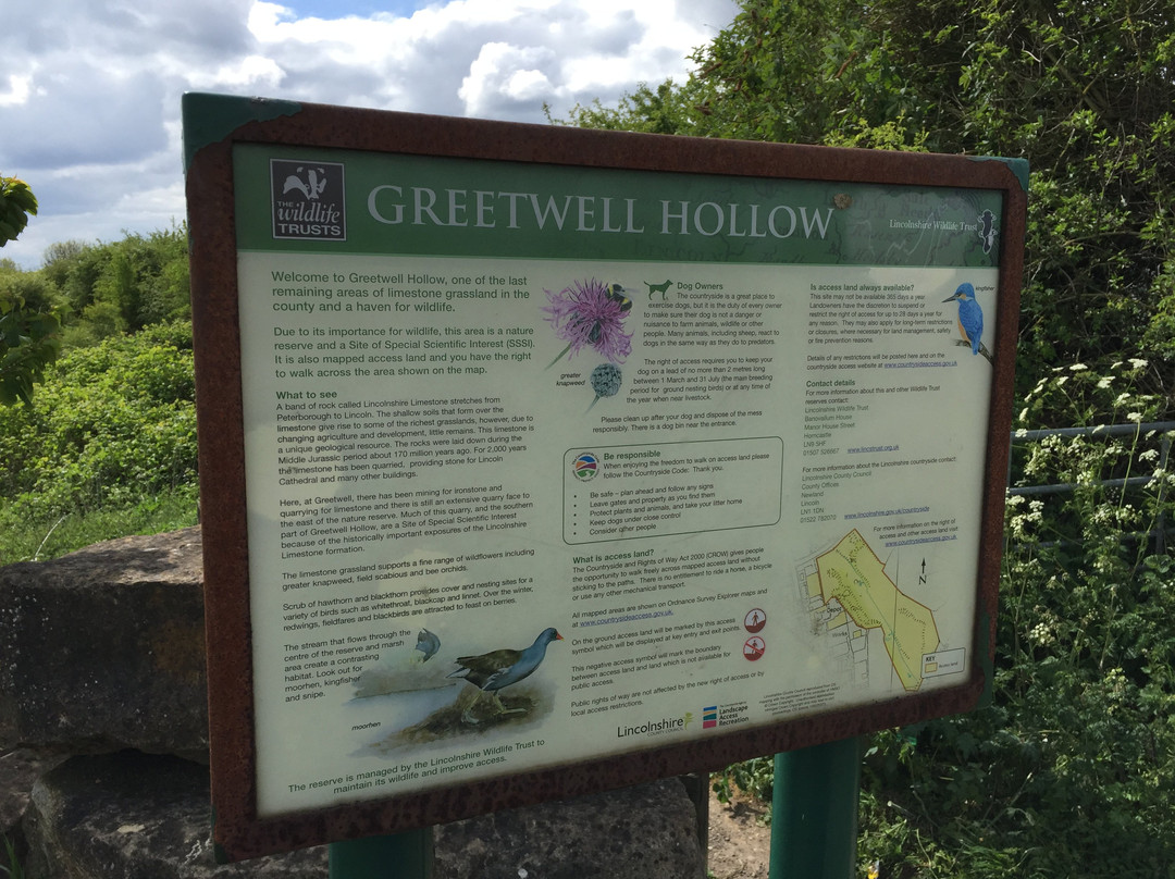 Greetwell Hollow Nature Reserve景点图片
