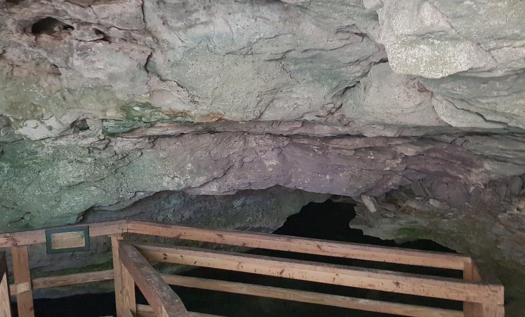 Ben's Cave景点图片