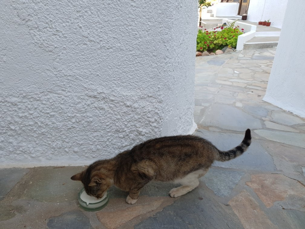 Mar-Nik Village主图