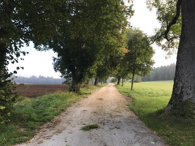 Landhotel Winter主图