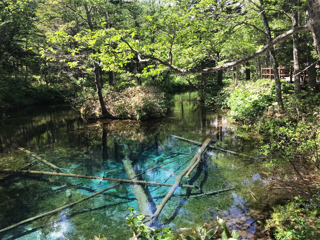 神之子池景点图片