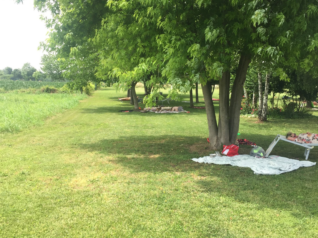 Agriturismo Cascina Boschi主图