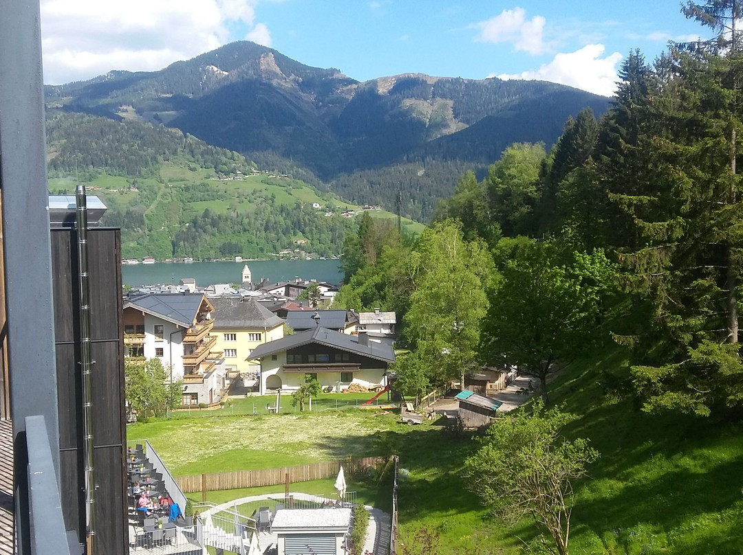 Hotel Der Waldhof主图