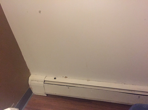 蓝鸟汽车旅馆主图