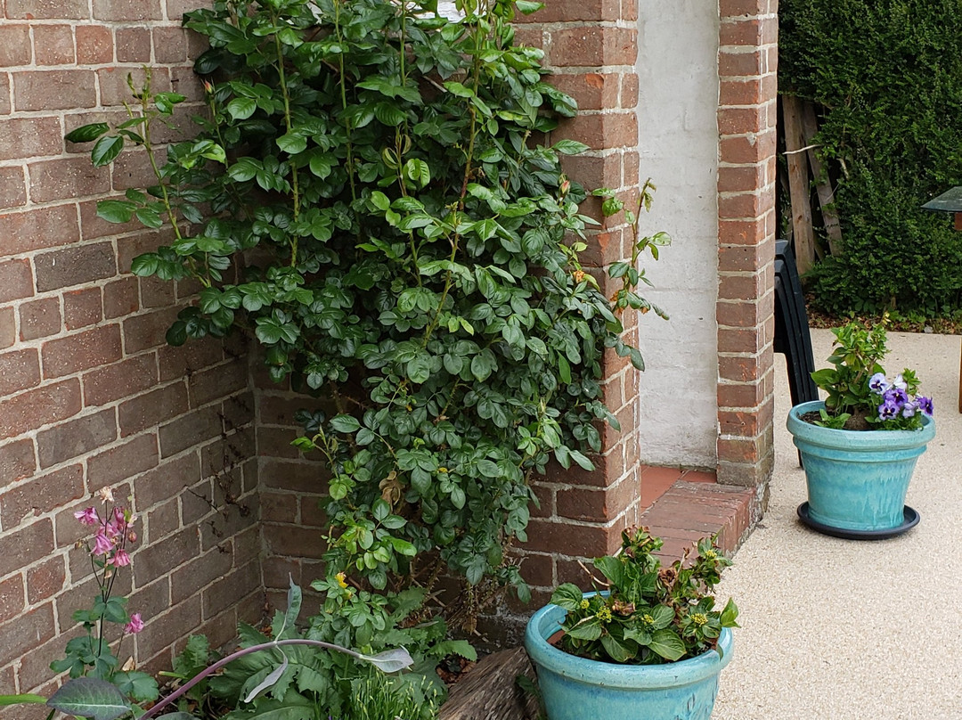 Avebury Life B&B主图