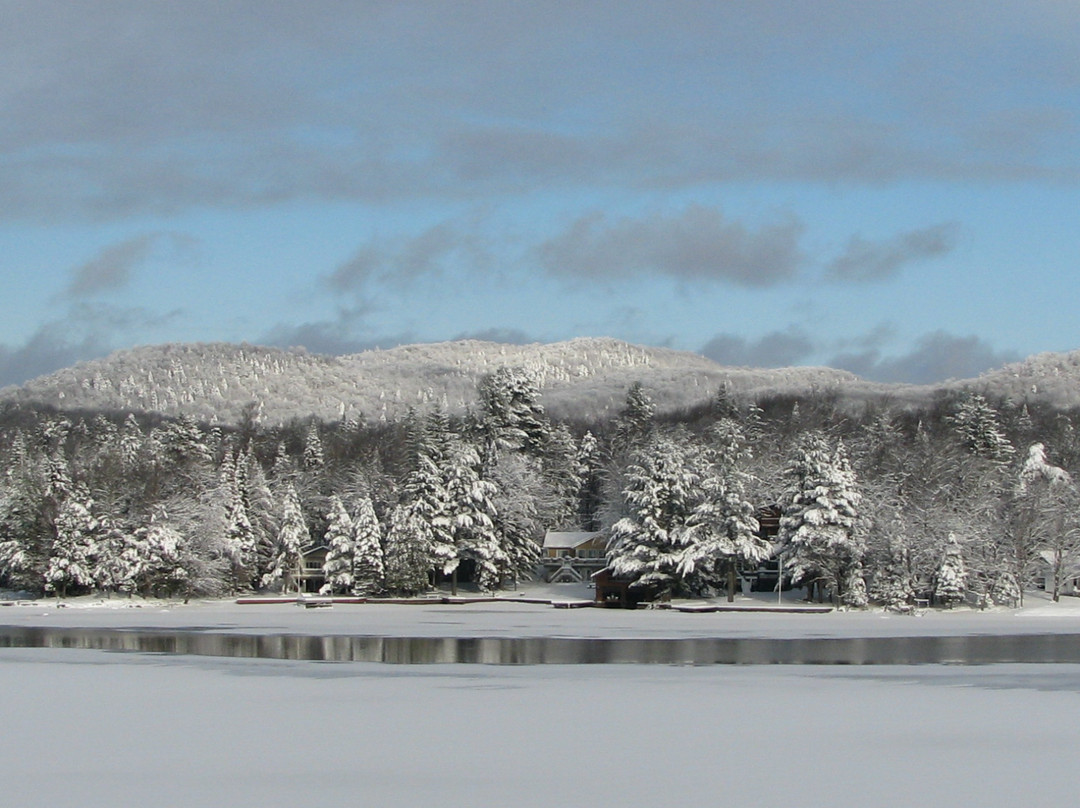 Pine Knoll Lodge and Cabins主图