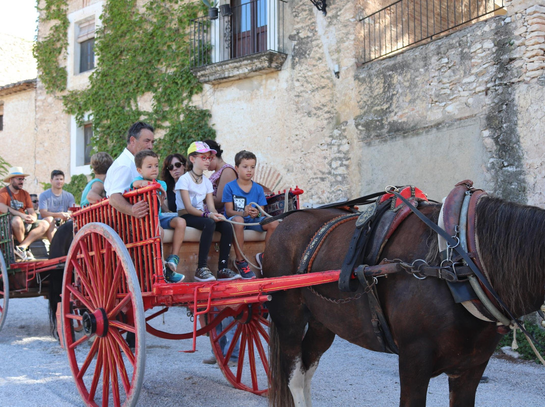 Experiències Rurals景点图片