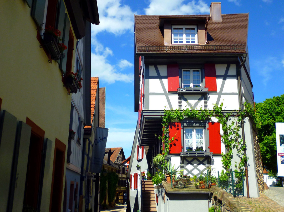 Schwarzwald Villa主图