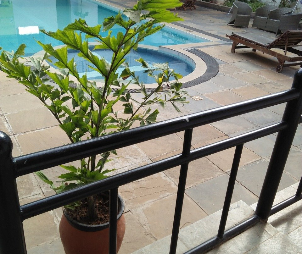 Newstead Hotel Naivasha主图