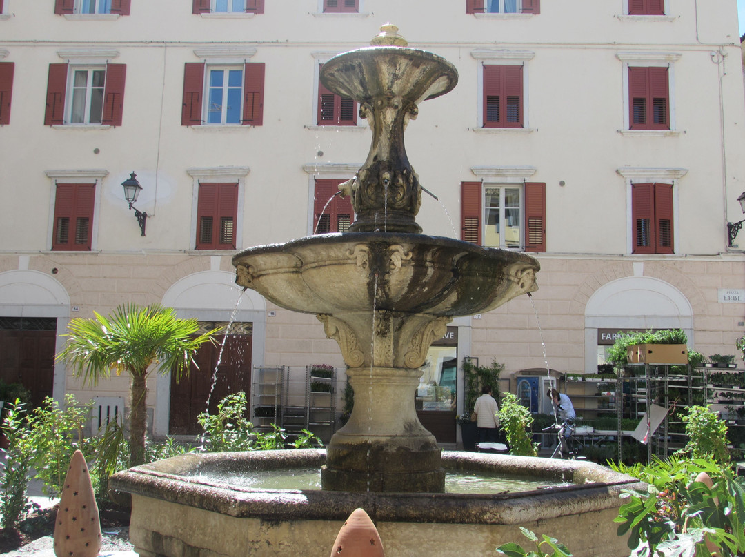 Piazza Erbe di Rovereto景点图片