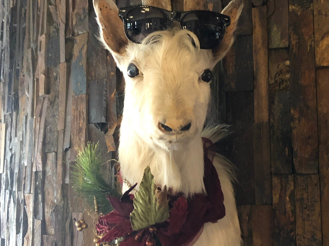 Hotel Galileo Donovaly主图